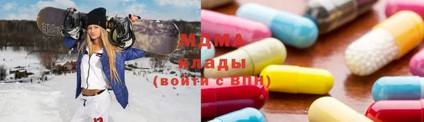 индика Надым