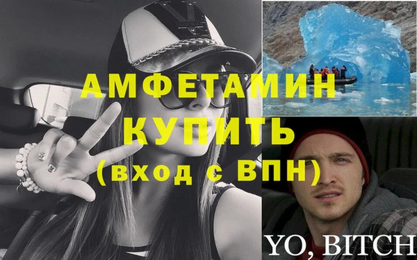 индика Надым