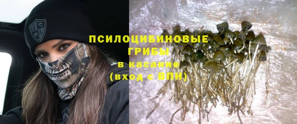 jwh Ладушкин