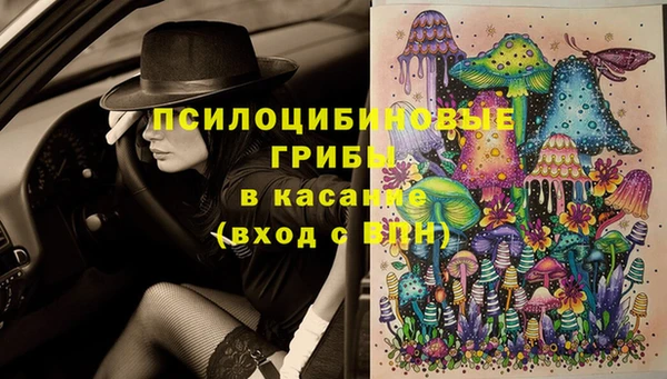 jwh Ладушкин