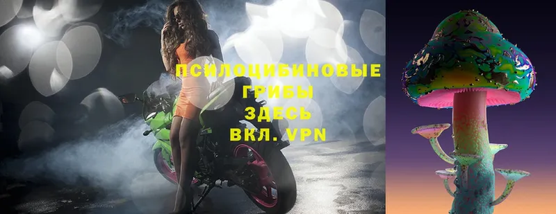 Галлюциногенные грибы Magic Shrooms  Чудово 