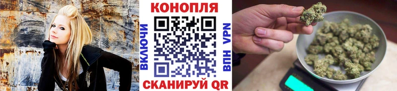 Бошки Шишки план  ссылка на мегу ТОР  Чудово 